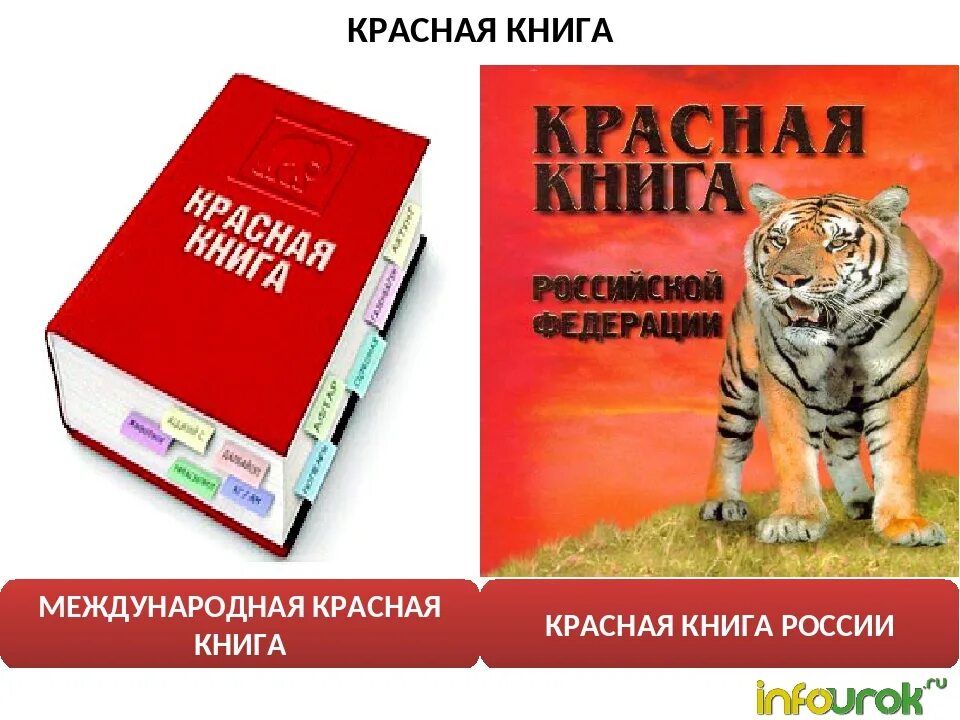 Покажи фото красной книги Картинки международная красная книга