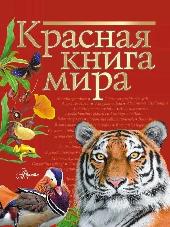 Покажи фото красной книги Красная книга мира Пескова Ирина Михайловна, Молюков Михаил Игоревич - купить с 