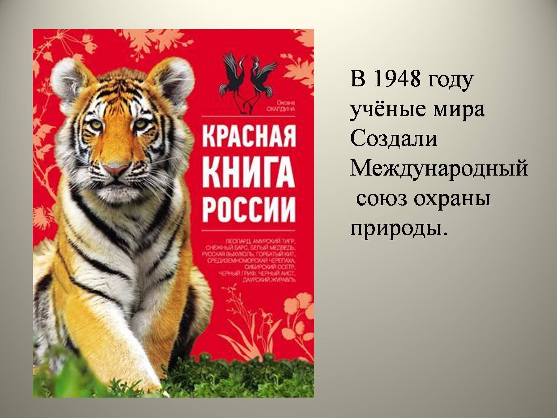 Покажи фото красной книги Новая красная книга