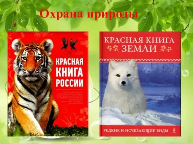 Экологический час "Всемирный день красной книги" 2024, Сабинский район - дата и 