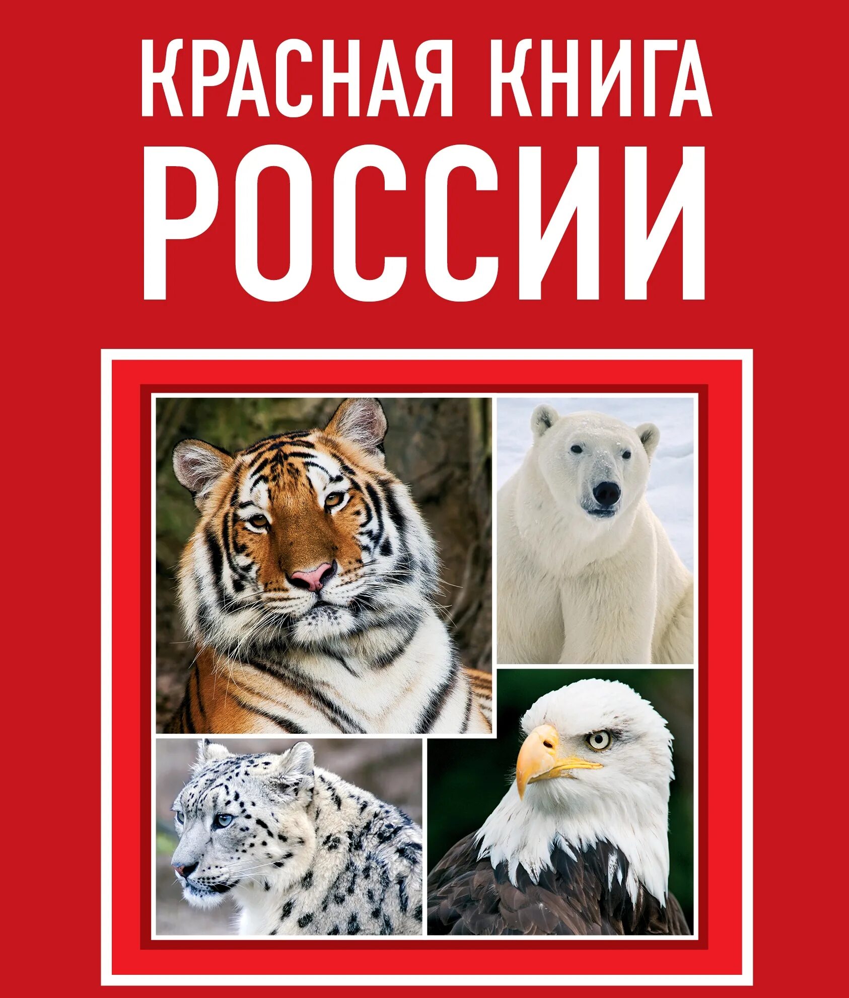 Покажи фото красной книги 12 января - День Красной книги России - Государственное автономное учреждение Ре