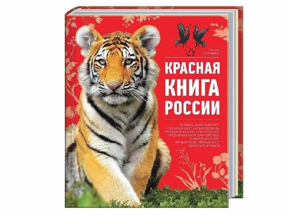 Покажи фото красной книги Открывая Красную книгу.": экологический час 2024, Саранск - дата и место проведе