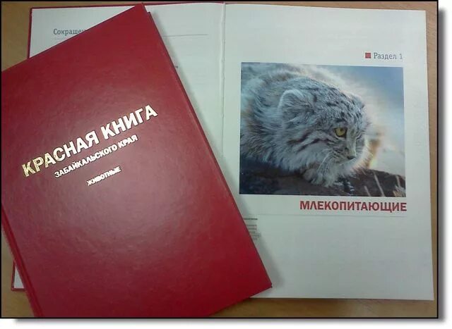 Покажи фото красной книги Министерство природных ресурсов Забайкальского края В рамках празднования Дня Зе