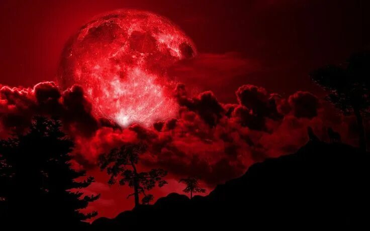 Покажи фото кровавой луны Red Full Moon Wallpaper - Best Wallpaper HD Blood moon, Red moon, Red aesthetic