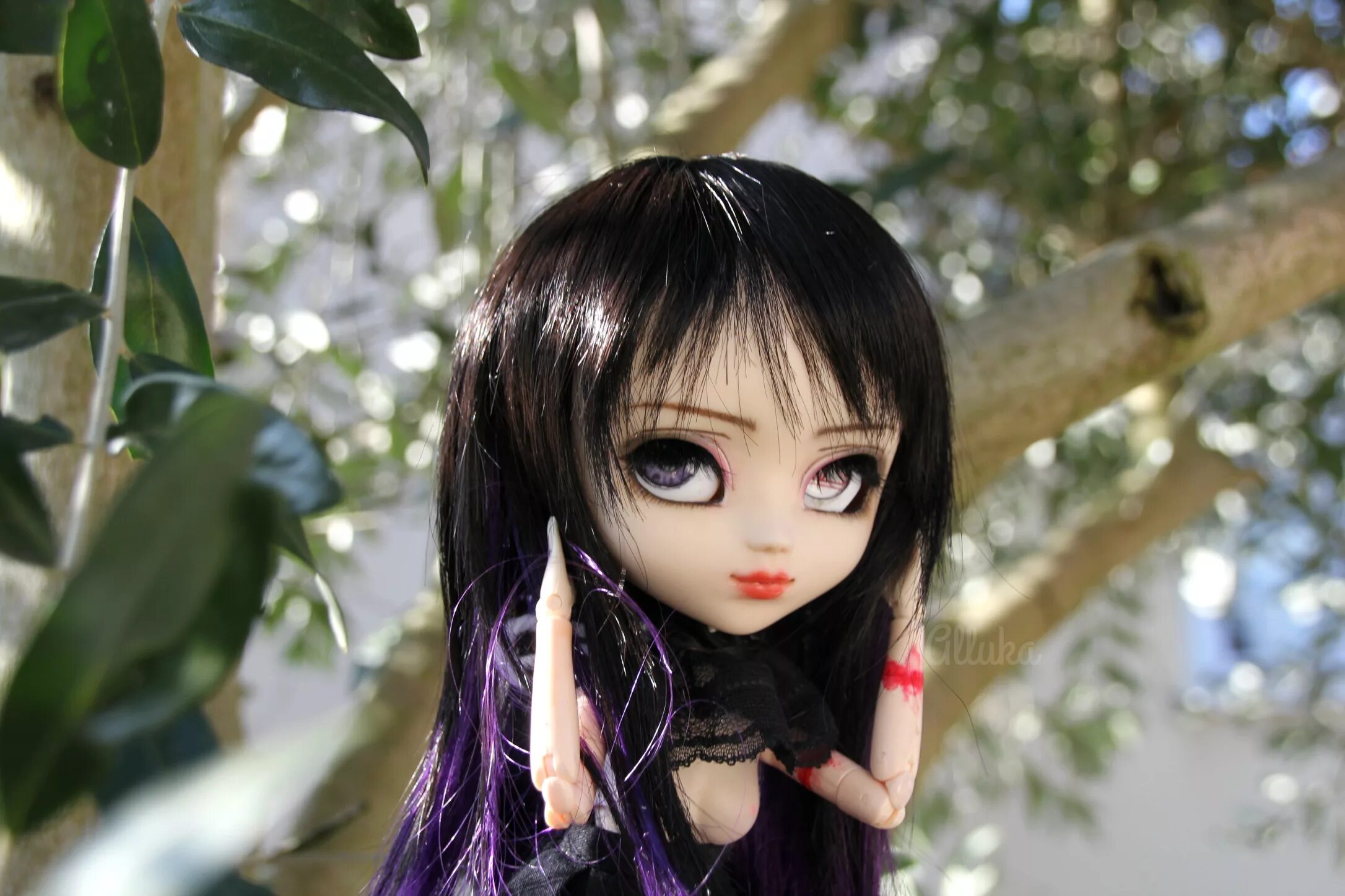 Покажи фото кукол Wallpaper : pullip, pullips, custo, custom, fc, full, fullcusto, fullcustom, gro