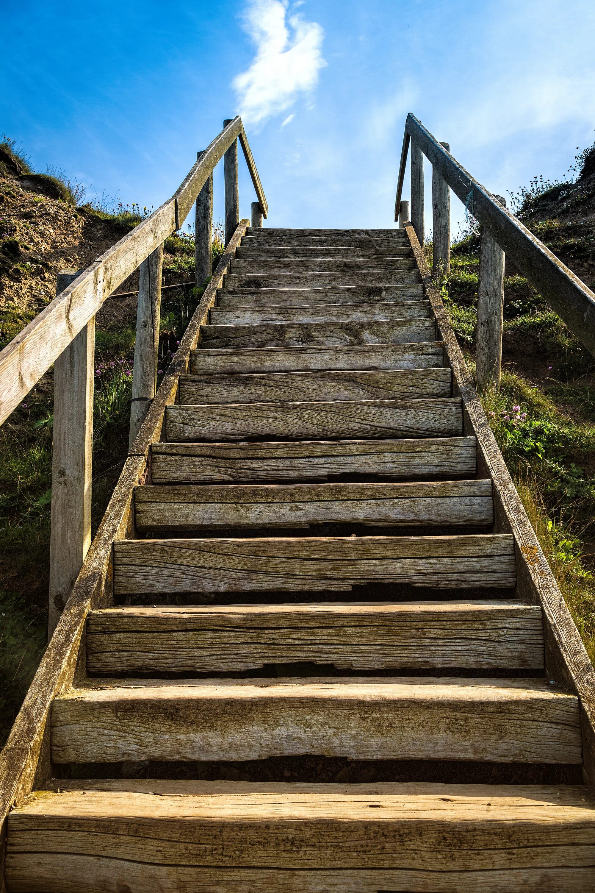 Покажи фото лестницы Картинки OUT STAIRS