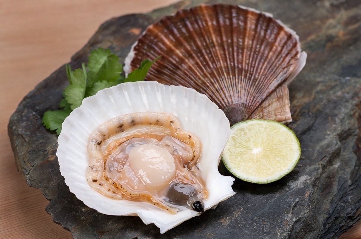 Покажи фото морских гребешков Гребешок морской (Scallop of the sea) живой 1кг в термобоксе Винный бутик "Darwi