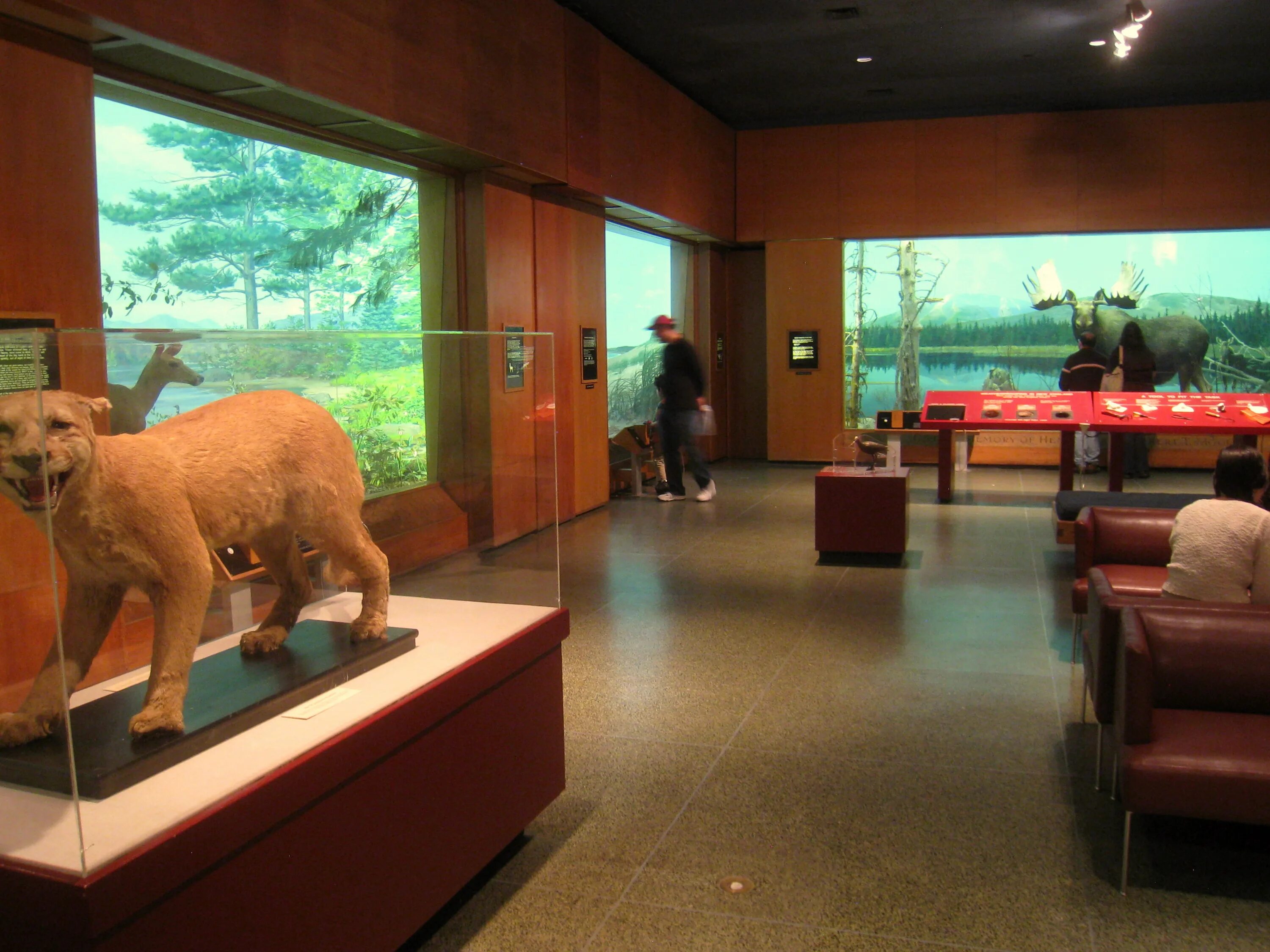 Покажи фото музея File:Museum of Science, Boston, MA - IMG 3282.JPG - Wikipedia