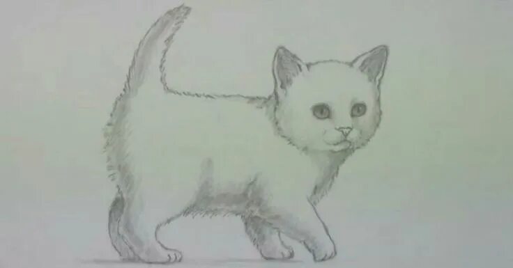 Покажи фото нарисованного кота Pin by Поделки, рисунки и фото на раз on Котята. Kittens Cat drawing tutorial, A