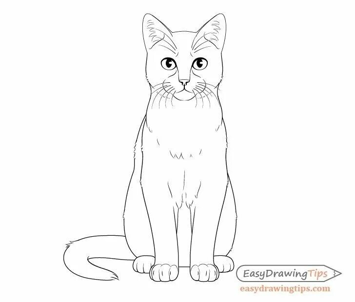 Покажи фото нарисованного кота cat coloring page Cats art drawing, Cat drawing, Cat art