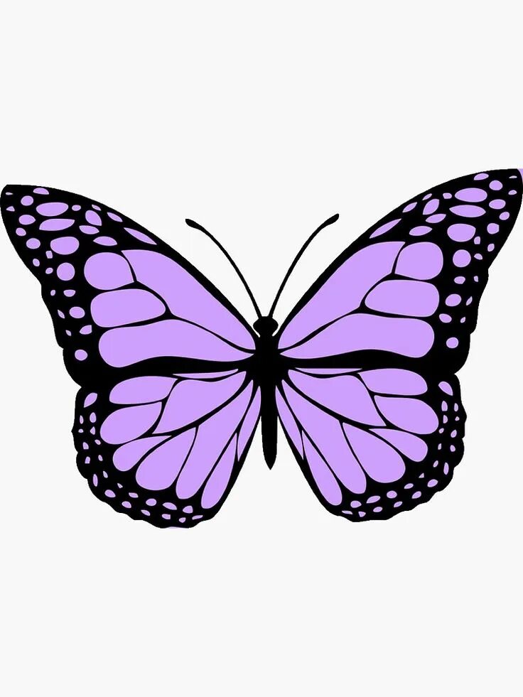 Покажи фото нарисованных бабочек "light purple butterfly" Sticker for Sale by karestolarczyk Butterfly drawing, P