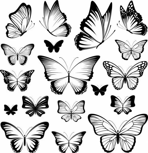 Покажи фото нарисованных бабочек Papillon vector silhouettes Butterfly tattoo designs, Tattoo outline drawing, Bu