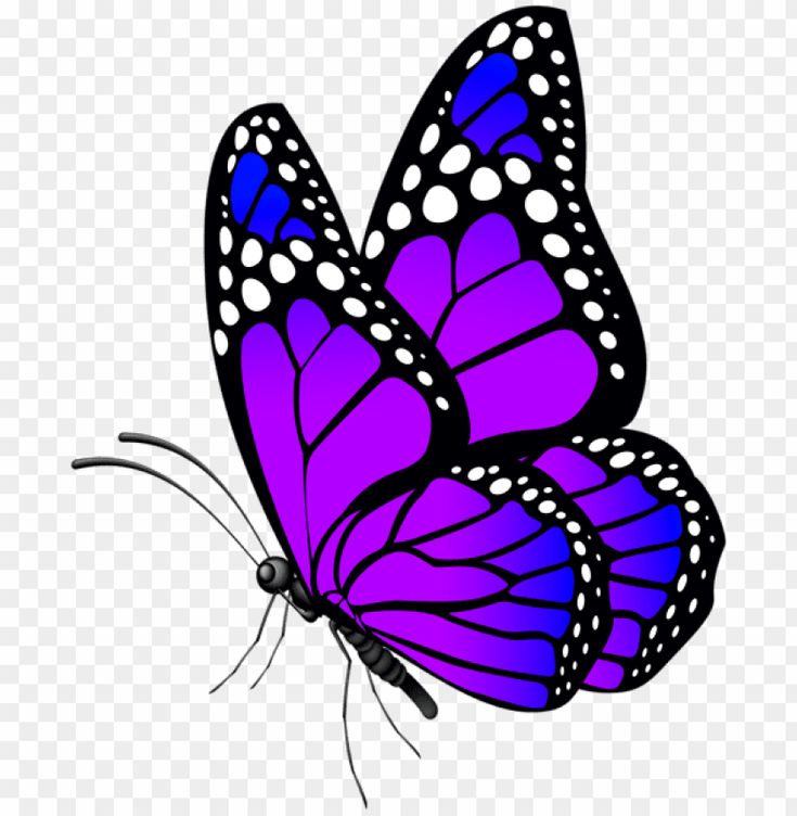 Покажи фото нарисованных бабочек Butterfly Purple Clipart Png Photo - 48641 TopPNG Butterfly art, Butterfly art p