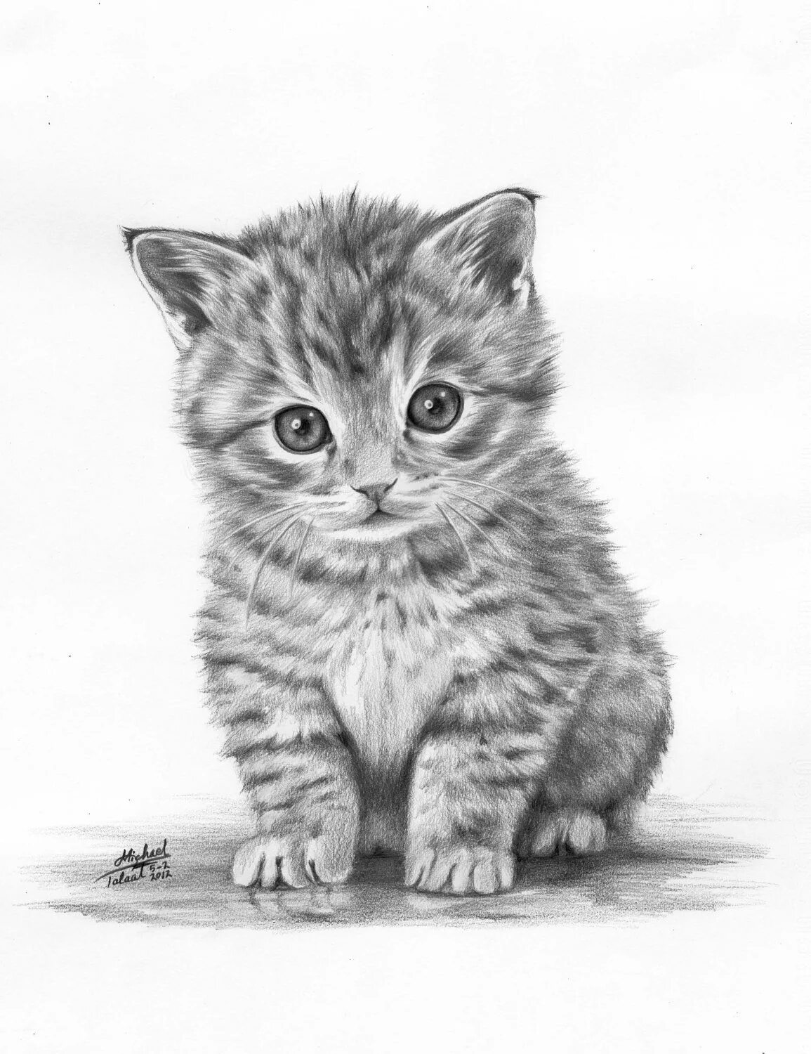 Покажи фото нарисованных котиков Draw So Cute Animals Cat