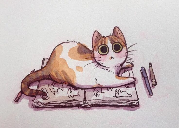 Покажи фото нарисованных котиков Carrie L on Instagram: "This is the Stop Drawing Cat. If you are looking at this