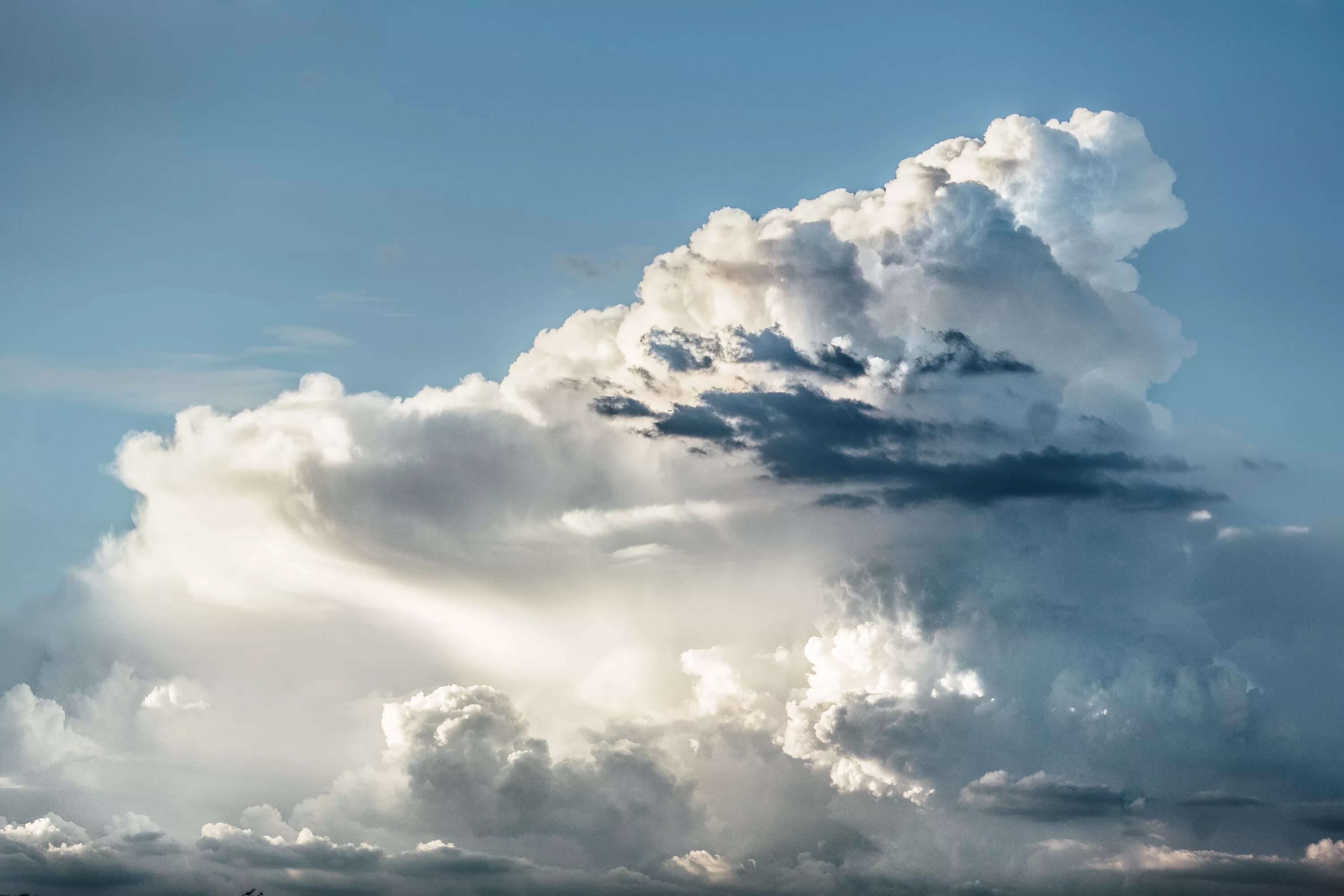 Покажи фото облаков Free Images : horizon, cloud, sky, sunlight, weather, cumulus, meteorological ph