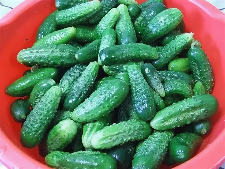 Покажи фото огурцов 0.jpg (480 × 360) Рецепты, Кетчуп, Вкусняшки