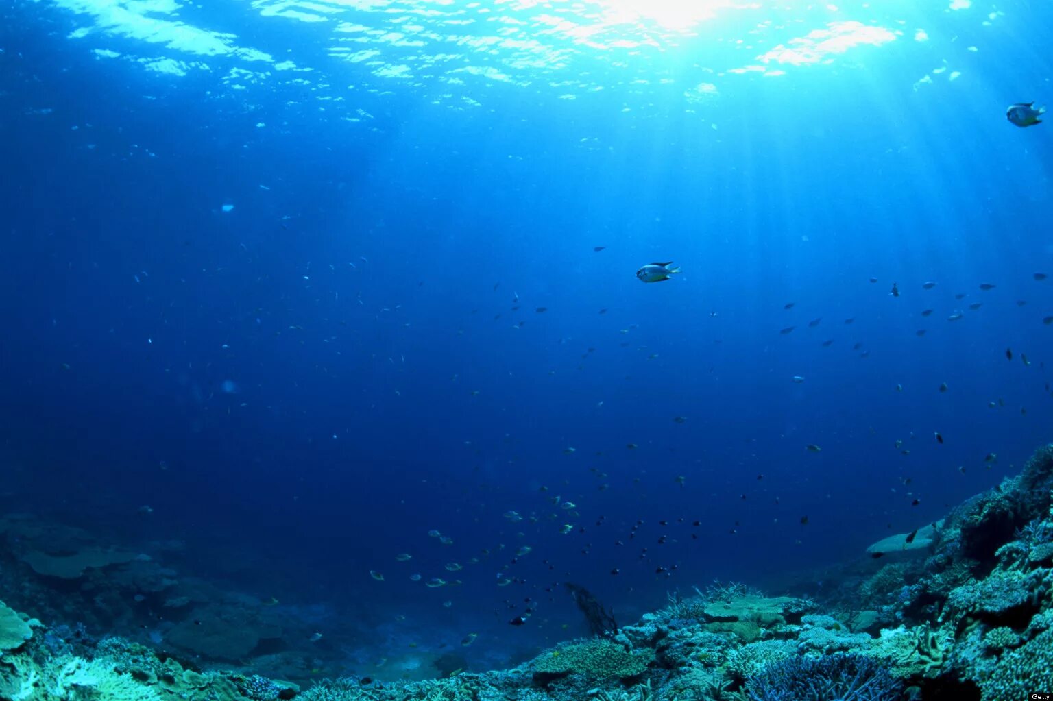 Покажи фото под водой 70 percent of Earth is Ocean