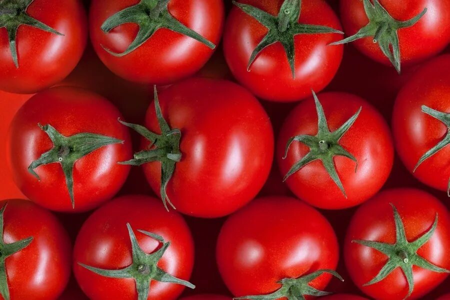 Покажи фото помидора Стимулятор для роста растений Бутон томаты GREEN BELT 102388 2г - купить в OBI, 