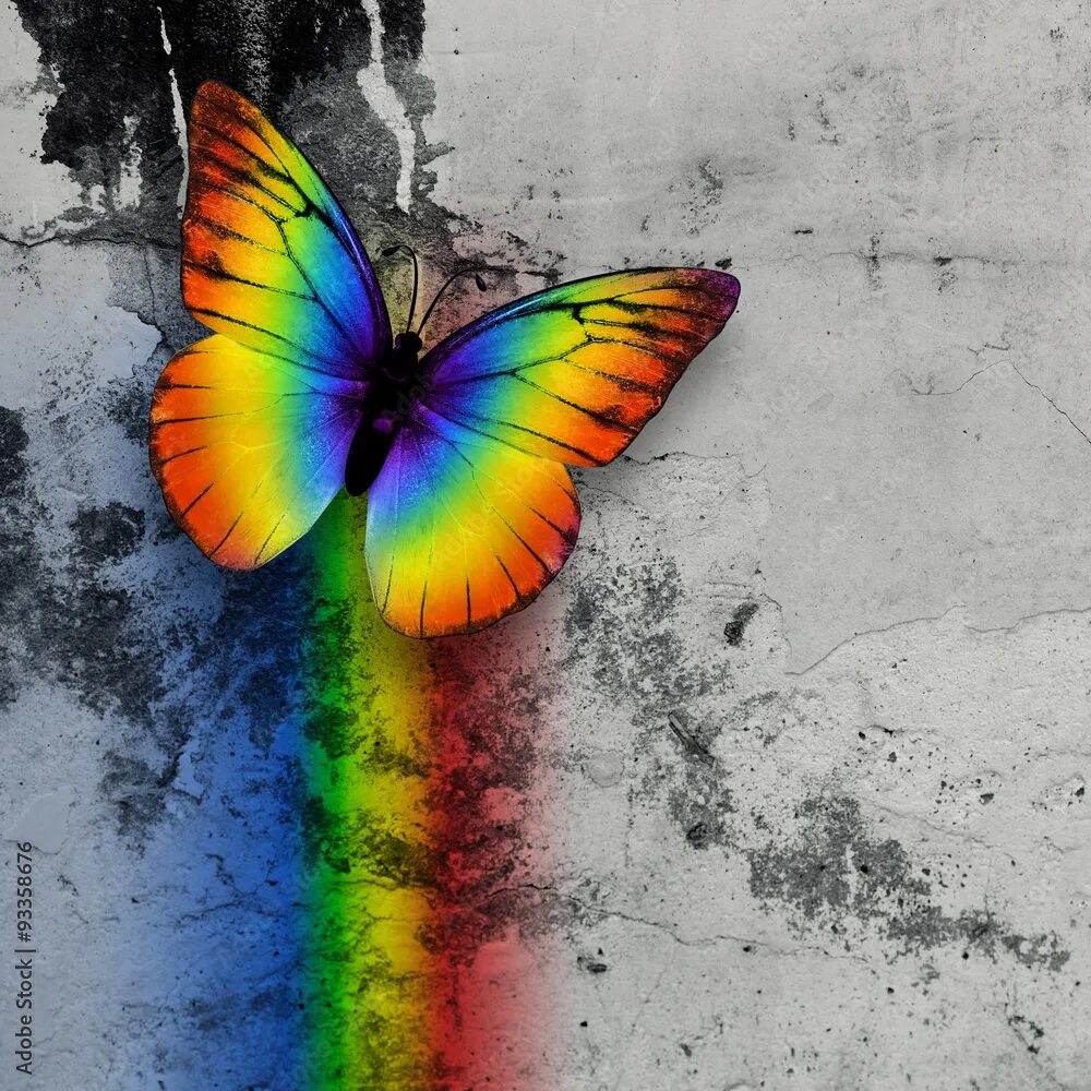 Покажи фото радужных бабочек rainbow butterfly Иллюстрация Stock Adobe Stock