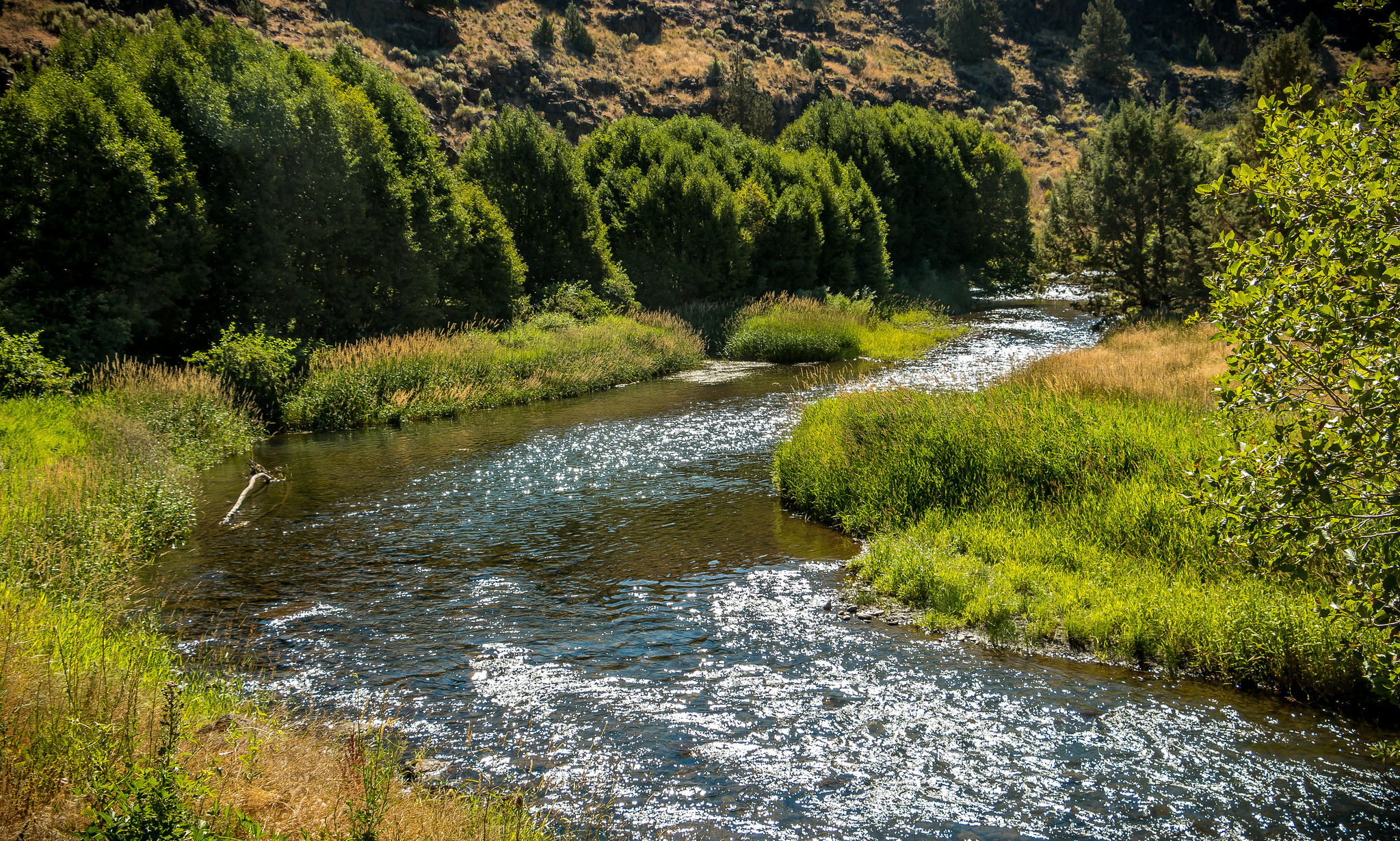 Покажи фото реки Donner und Blitzen River