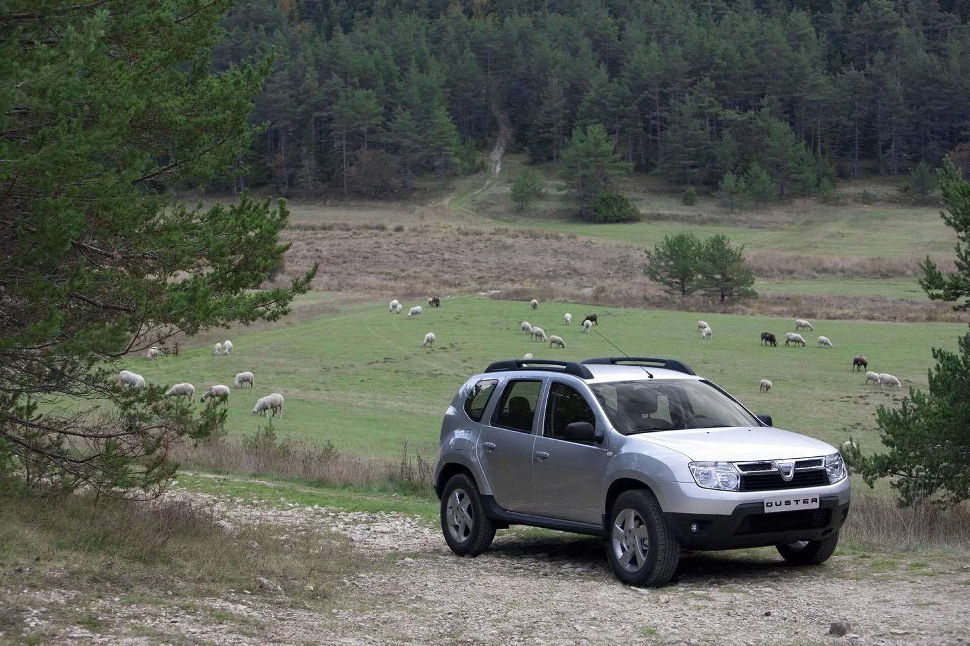 Покажи фото рено дастер 2011 Dacia Duster Image. Photo 49 of 60