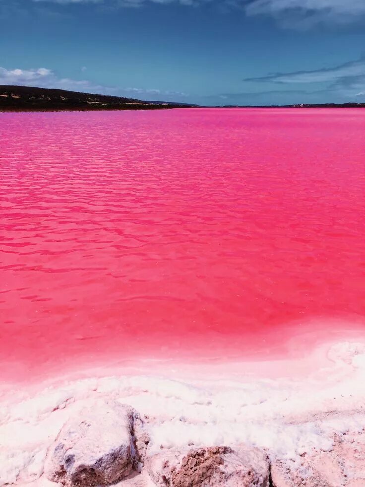 Покажи фото розового цвета A magia da Pink Lake na Austrália capturada de uma forma sonhadora Lago rosa, Pi