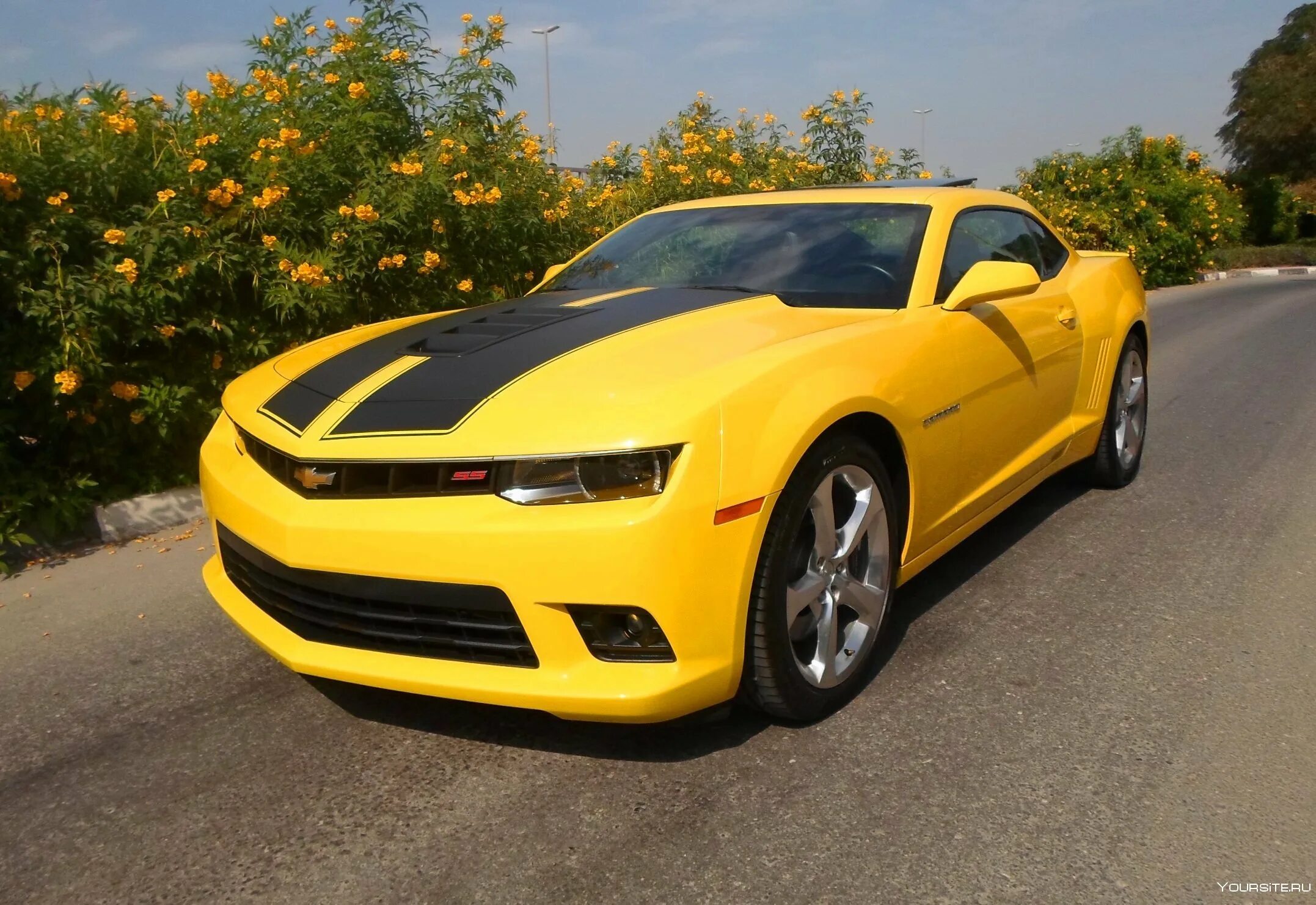 Покажи фото шевроле Chevrolet camaro желтый