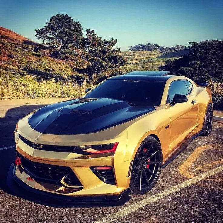 Etre l'âme sœur d'un alpha : Chevrolet camaro, Chevrolet camaro ss, Sports cars 