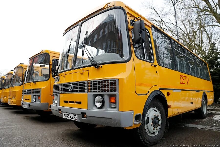 Покажи фото школьных автобусов В шести посёлках под Гвардейском появились новые школьные остановки - Новости Ка