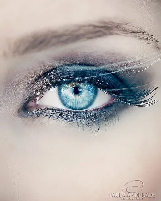 Покажи фото синих глаз The eyes have one language everywhere" Eye makeup, Turquoise eyes, Makeup