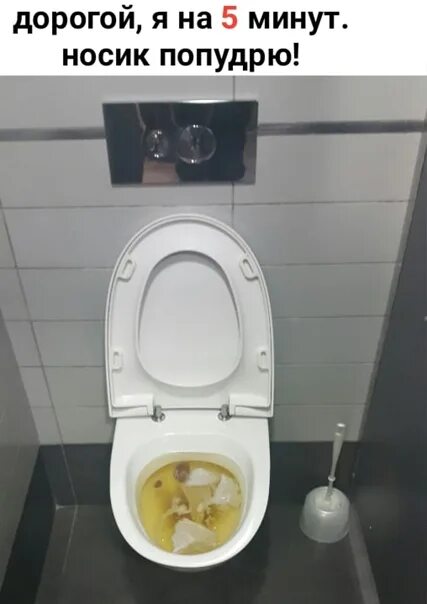 Покажи фото туалет Картинки TOILET CAMERA