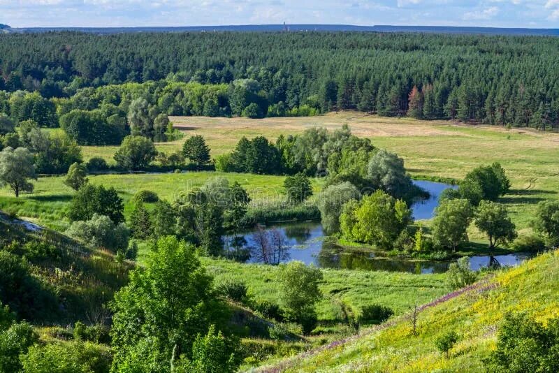 Покажи фото восточно европейская равнина 840,690 временя стоковые фото - бесплатные и стоковые фото RF от Dreamstime - Ст