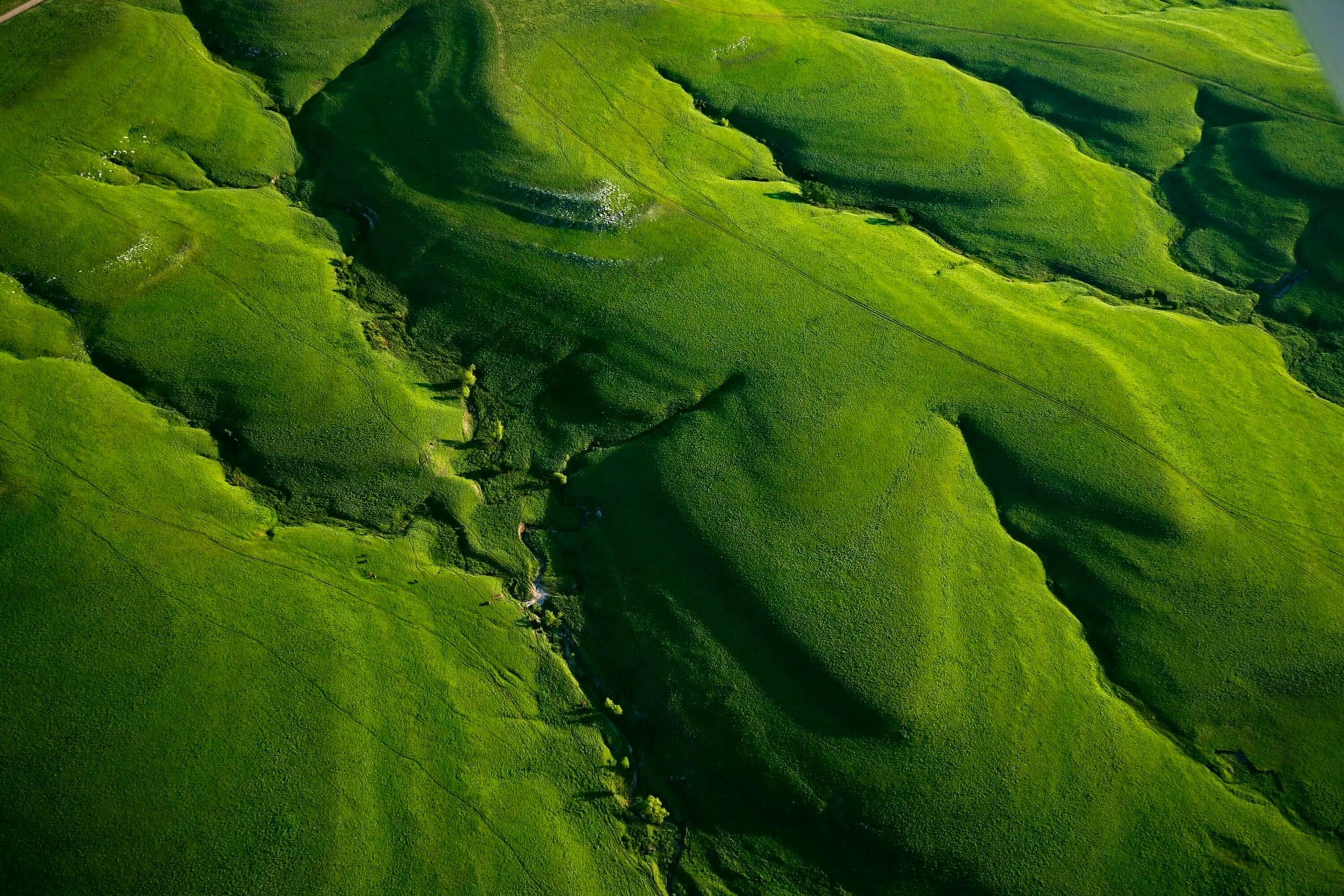 Покажи фото зеленого 30 compelling photographs discovered in the Nat Geo archives