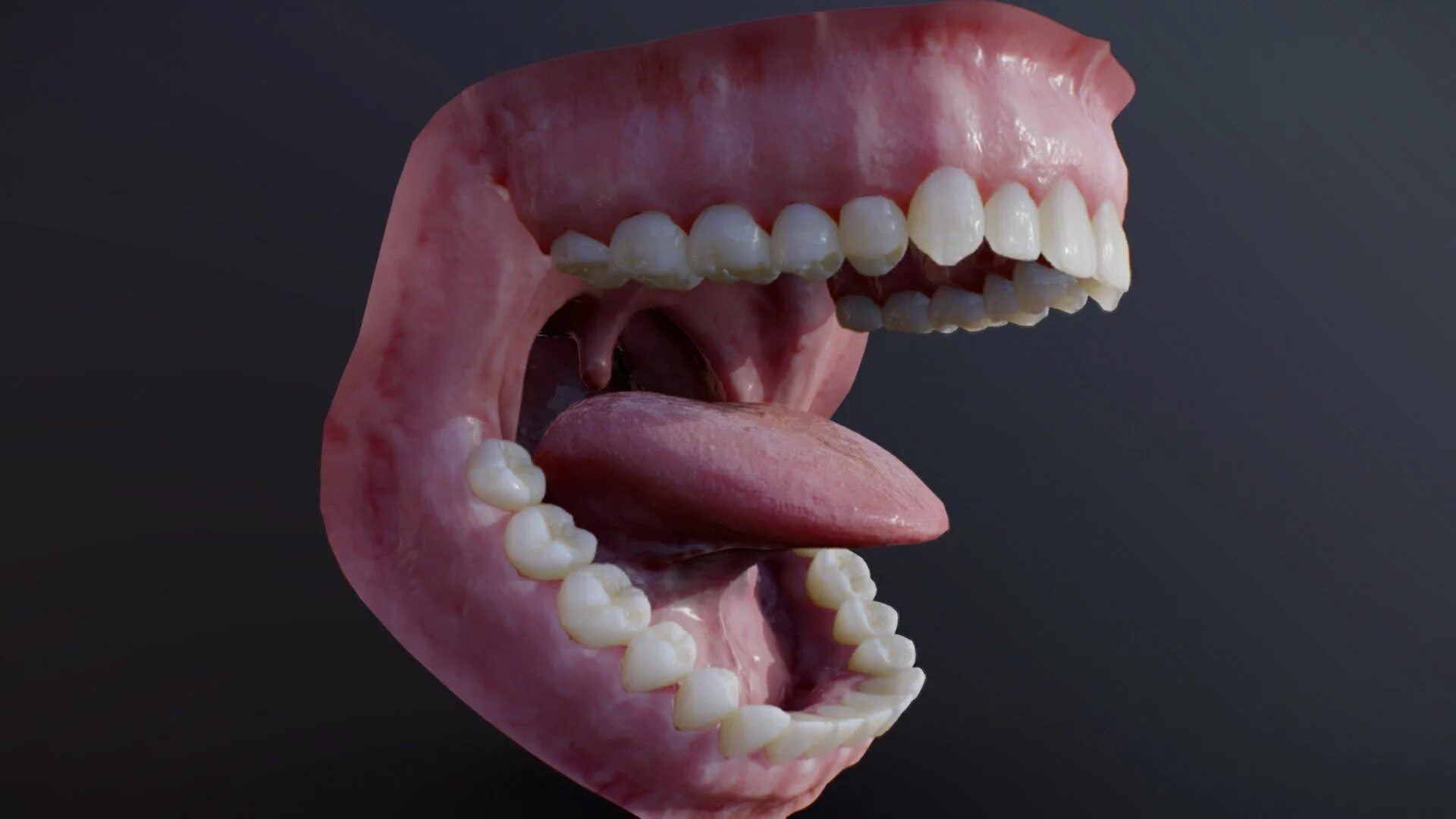 Покажи фото зубов Photorealistic human mouth - Buy Royalty Free 3D model by Cesar Salcedo CG d92cf