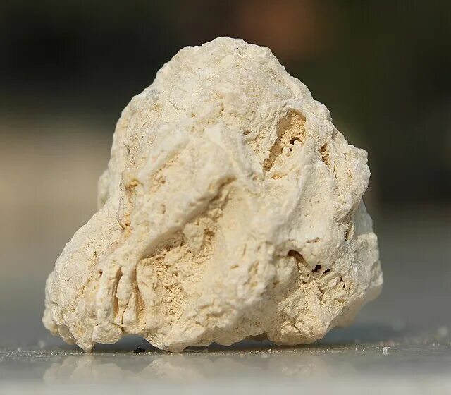 Покажи как выглядит камень известняк Fossiliferous limestone - Wikipedia