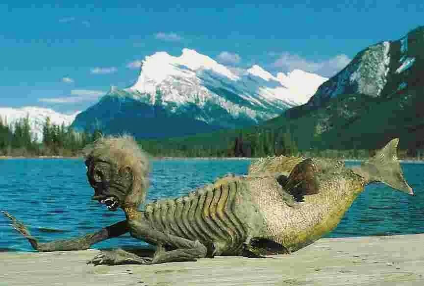 Покажи как выглядит настоящая OMG !!!! dead merman in 2019 Places to visit, Banff, Banff national park