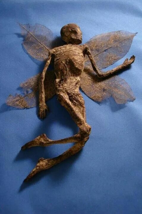 Покажи как выглядит настоящая фея Mummied fairy Fairy art dolls, Weird creatures, Mythological creatures