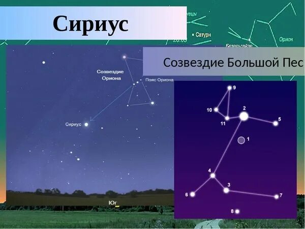 Покажи как выглядит созвездие большого пса С Сириуса на Землю прилетали боги.... - ТАЙНЫ МИФОЛОГИИ И ИСТОРИИ В СВЕТЕ ФИЗИКИ