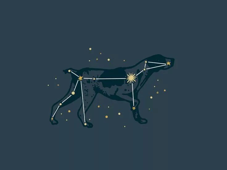 Покажи как выглядит созвездие большого пса Canis Major Constellation The dog star, Star constellation tattoo, Constellation