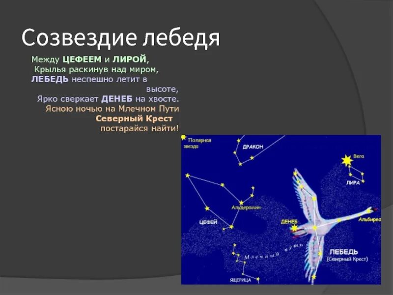 Покажи как выглядит созвездие лебедя Подготовили: ученики 7б класса: Сергей Кукшин, Шарканов Никита.