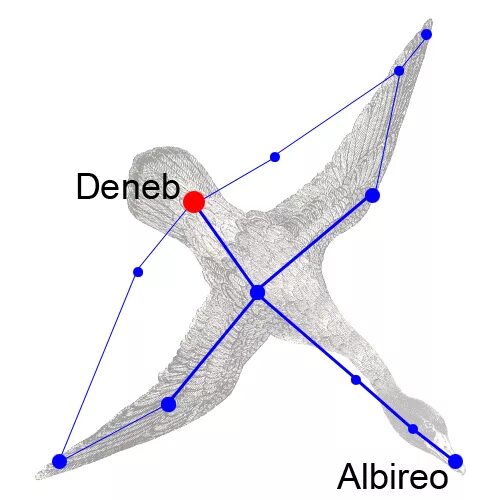 Покажи как выглядит созвездие лебедя File:Cygnus as constellation tail.jpg - Wikipedia