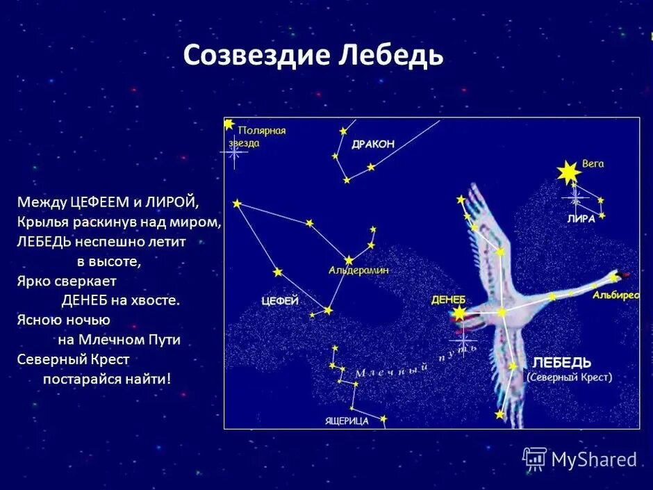 Покажи как выглядит созвездие лебедя Созвездия лебедь - CollectPhoto.ru