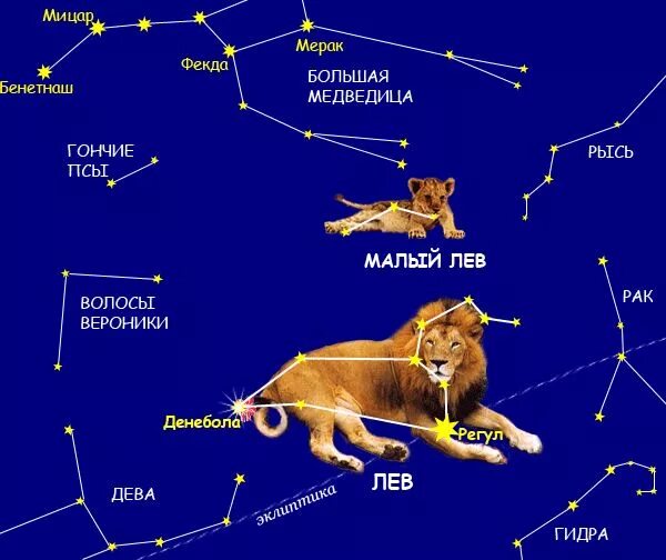 Покажи как выглядит созвездие льва Просмотр темы - РЕГУЛ Созвездия, Астрономия, Знаки зодиака