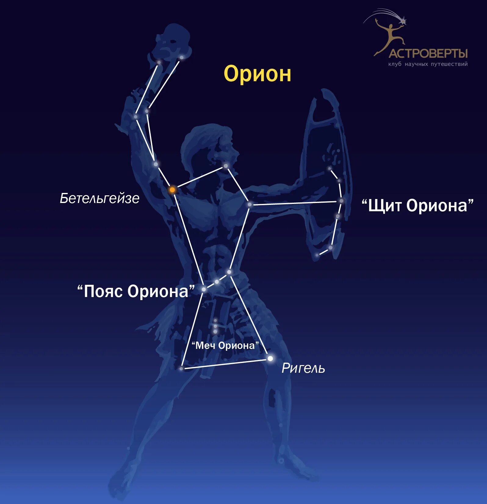 Покажи как выглядит созвездие ориона Скачать картинку ORION ПЕРЕВОД № 68