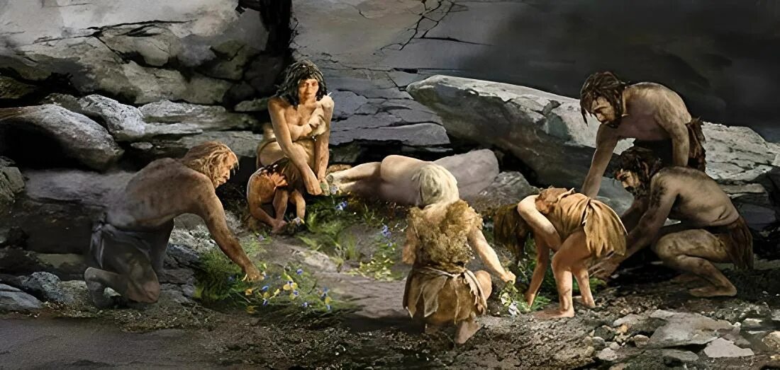 Покажи как выглядят древние люди Neanderthal: Our Stone Age cousins - Malevus