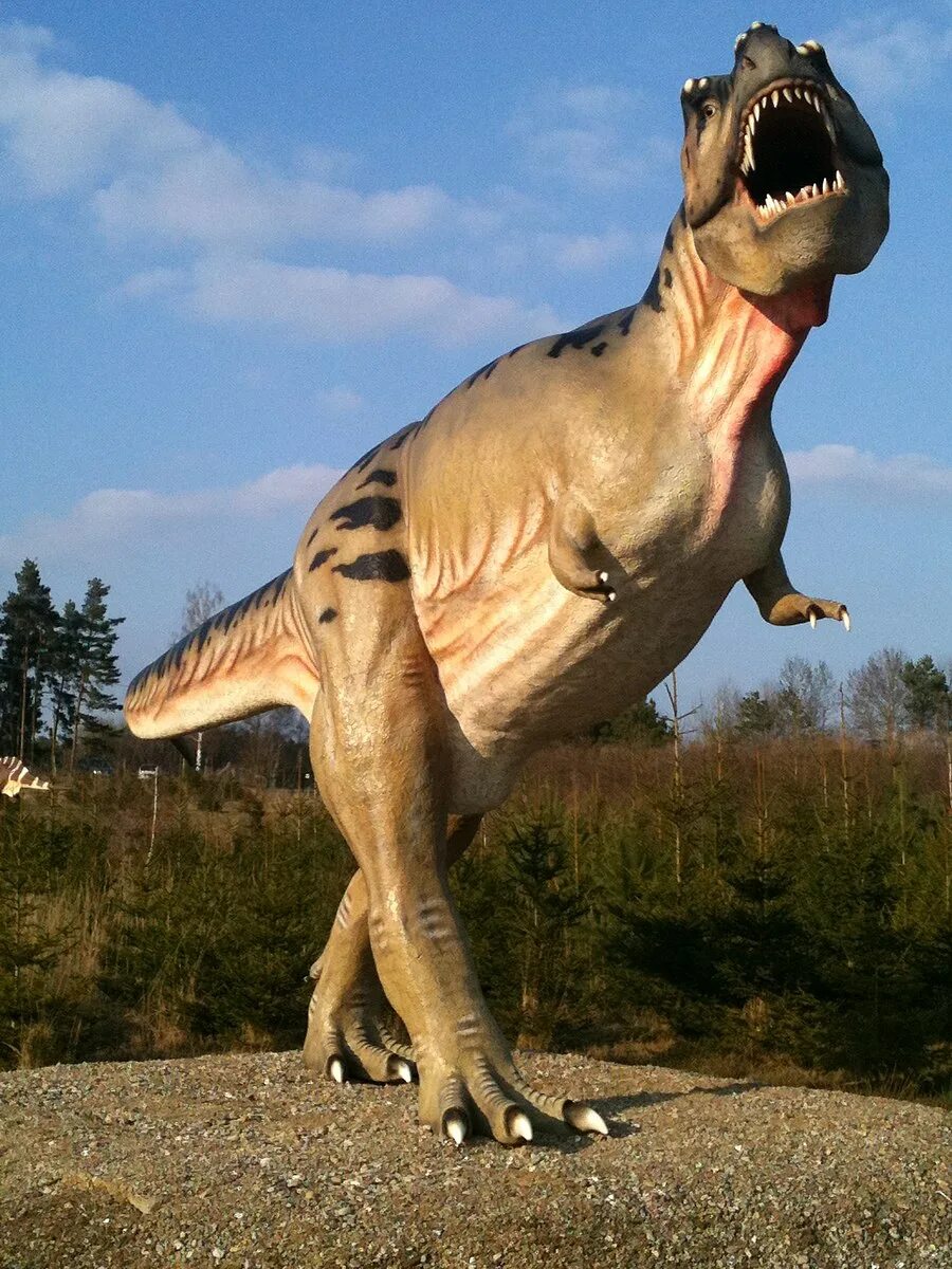 Покажи как выглядят настоящие динозавры File:T-Rex.jpeg - Wikimedia Commons