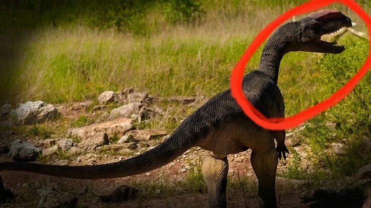 Покажи как выглядят настоящие динозавры TOP 5 Real Dinosaur Sightings Caught On Camera / avistamientos captado p... Mamm