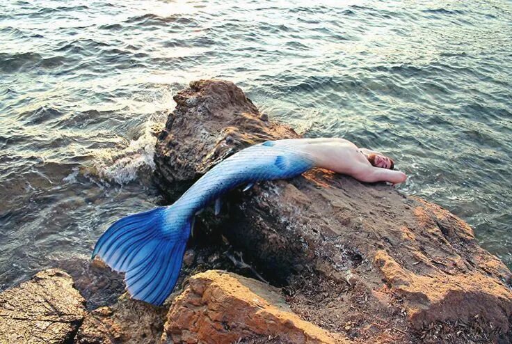 Покажи как выглядят настоящие русалки Merman Alex on the rocks Mermaid pictures, Merman, Mermaid dreams