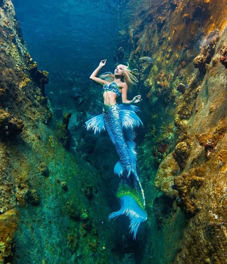 Покажи как выглядят настоящие русалки A Real-Life Mermaid Who Swims With Sharks Using Her Fish Tail And Holds Breath F